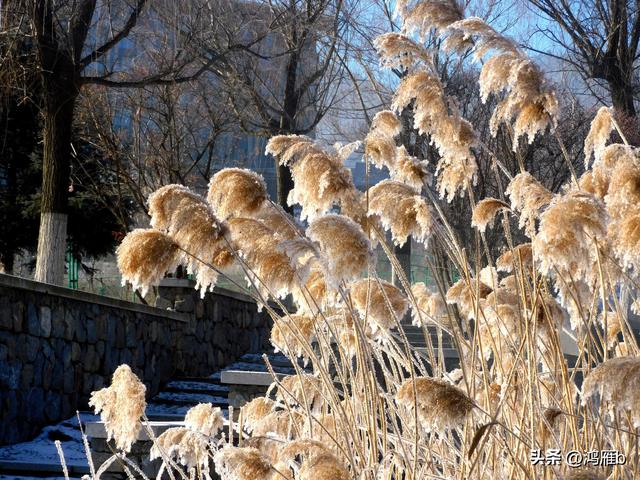 本溪太子河沿途一百公里风光——温泉寺青石岭（十七）