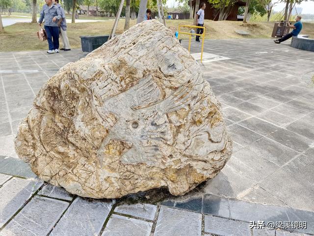 大雪时节，来汤山金乌公园晒暖阳、泡温泉（上）