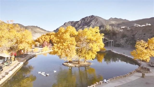 阿克塞县多坝沟胡杨峡景区迎来旅游高峰