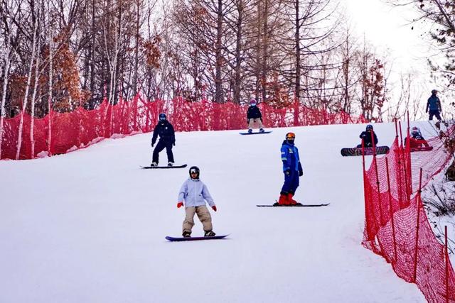 大雪已至 龙江皆雪趣