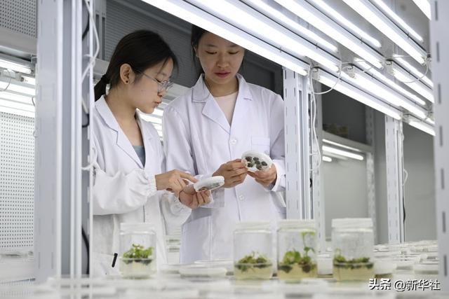 2025中国经济回眸｜筑牢发展安全根基 守住风险防控底线——解码中国经济稳健前行的底气