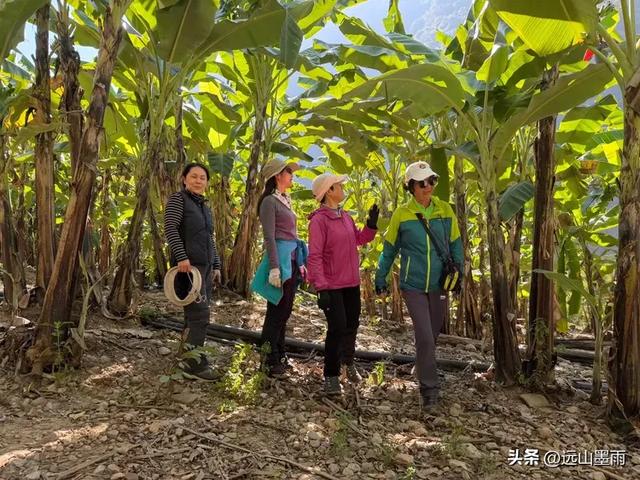 去昆明䘵劝游玩,未见识乐作泥瀑布、却邂逅普渡河迷人风光,惊喜