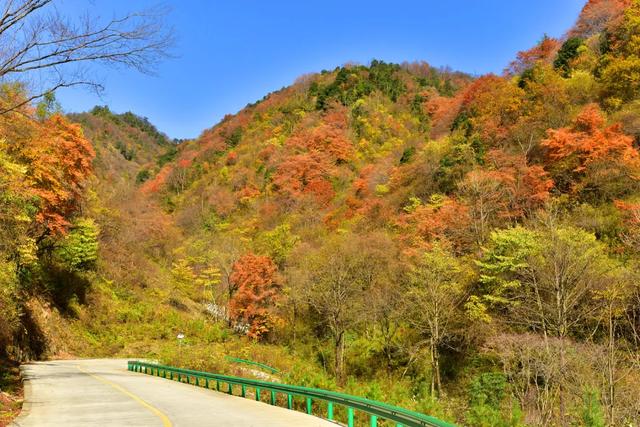 谁说秋天只有凋零?紫柏山两日游攻略来了!