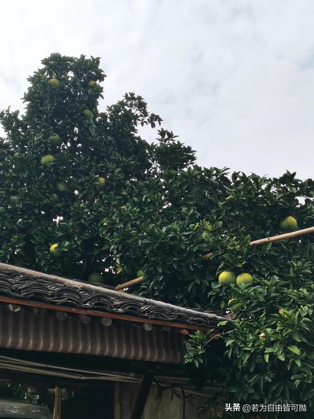 每个人眼中的风景真的不同：绍兴游玩小记