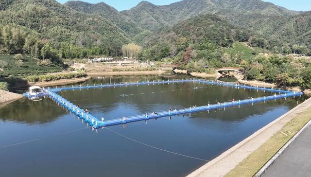 露营、垂钓……富阳这个村游客不断，越来越红火！