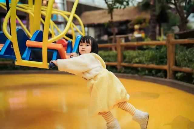 冬日奇遇开启！五洲植物乐园藏着超多惊喜！寻绿不跑空！12月营业时间新鲜出炉~