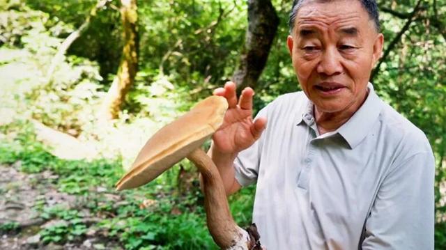 饮水思源，赏秋护水：一场汉江源头的感恩与守护之旅