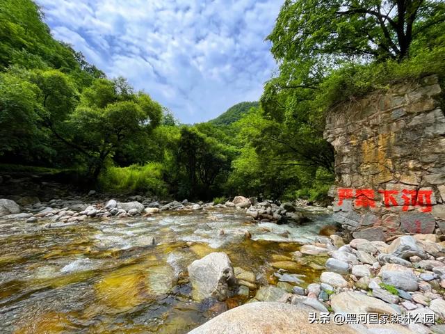 夏末秋初送清凉，来自黑河国家森林公园的惊喜等你查收~