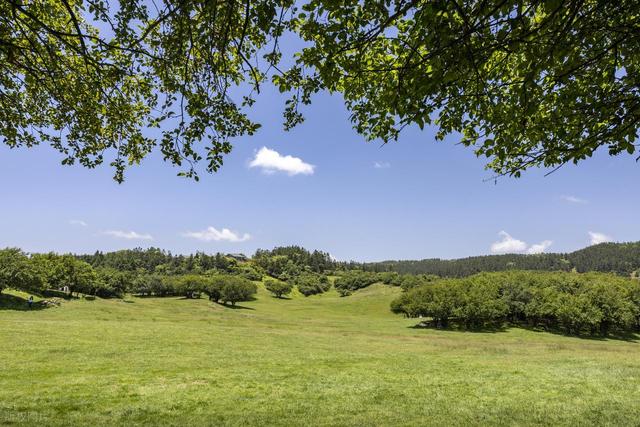 最喜欢的旅游风景照推荐