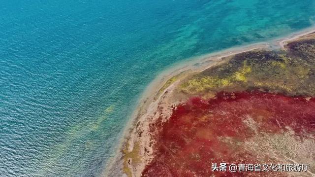 果洛秋境：雪山、湖泊与彩林交织的高原限定风光