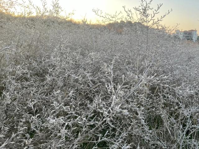 怀集诗洞镇,冬霜成景!
