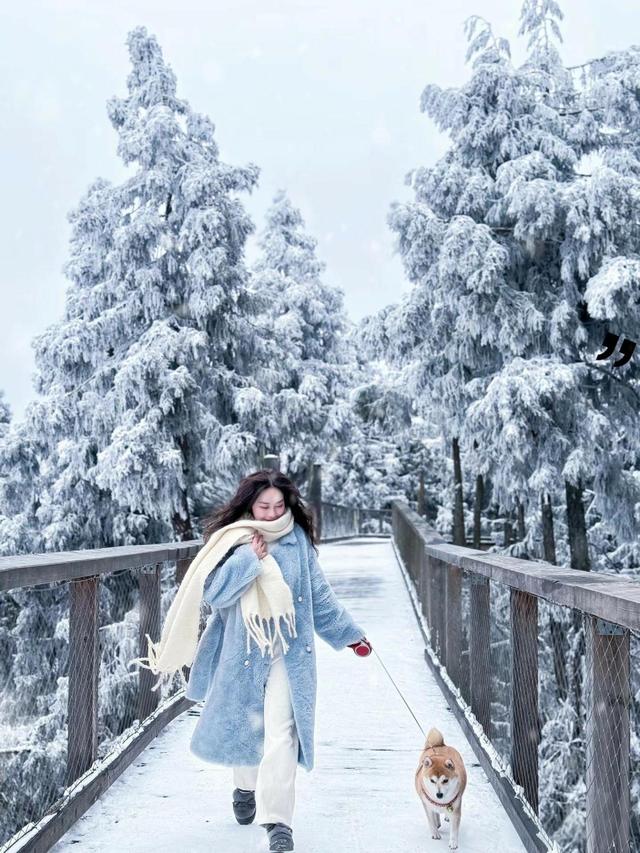 【雄奇山水 冬韵武隆】冰雪奇缘·南国雪国童话