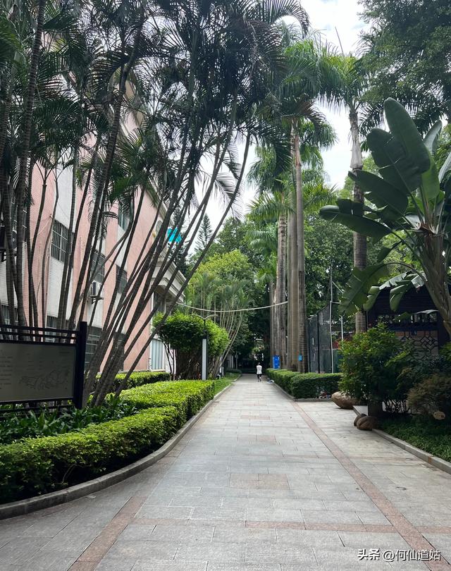 看看青年公园