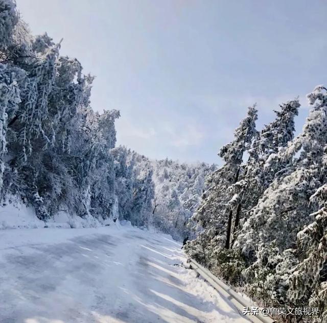 宁海：藏于宁波的宝藏小城，承包江南冬日的所有浪漫