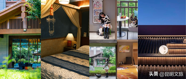 往返接驳+15分钟绿道直达赛点，给你的上合昆马开局加点“顺”~