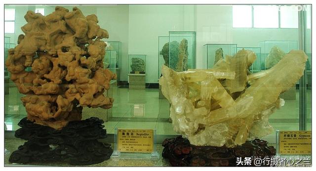 山东行游影记（31）—平邑天宇自然博物馆（六）