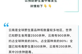 云南划定6个野生菌中毒高风险区！大理属于……图片
