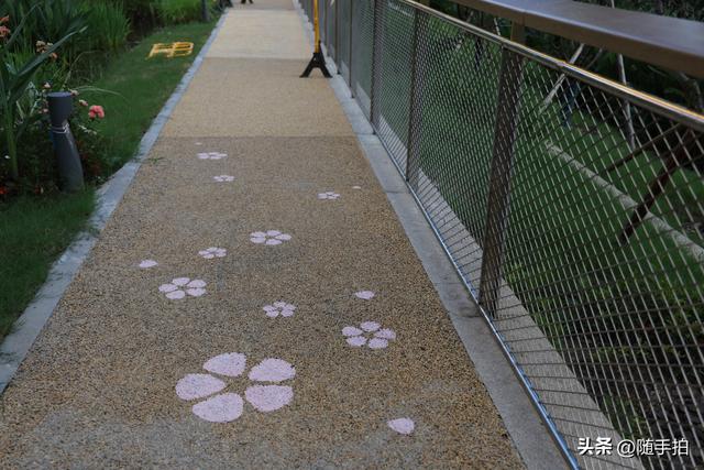 实拍江苏苏州昆山花桥梅浦河海绵城市公园，“会呼吸”的绿地