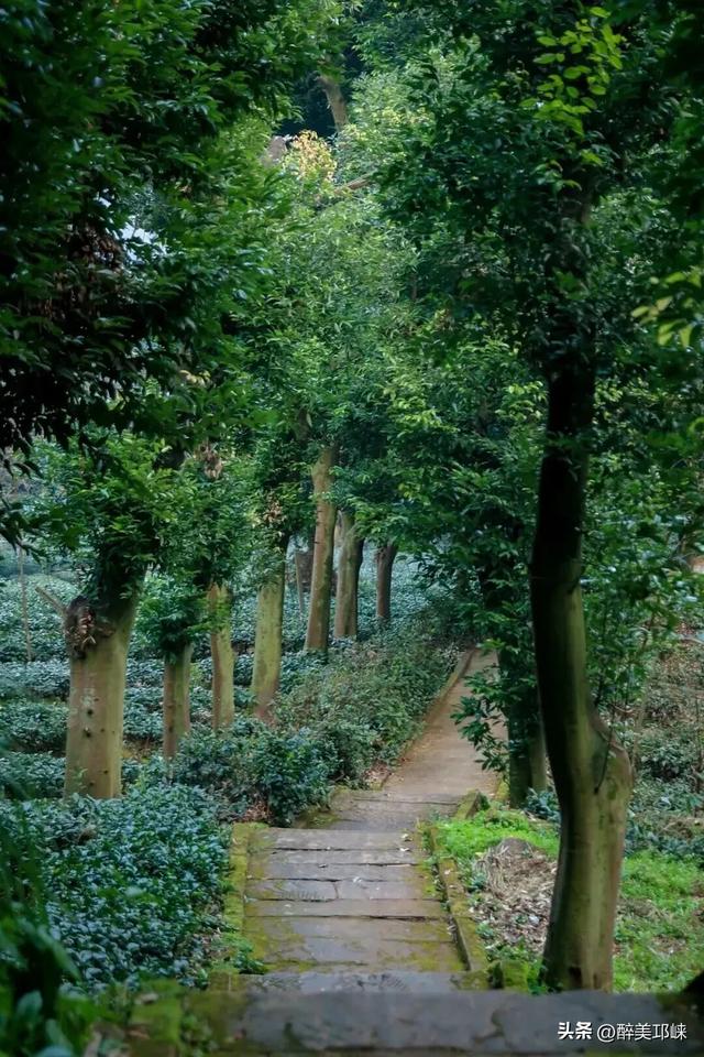 聆听邛崃丨徒步邛崃，与山水相逢