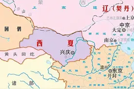 一口气看完西夏189年历史图片