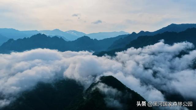 转给那个总说“没时间去远方”的朋友：你看，诗与远方，其实就在2小时车程外