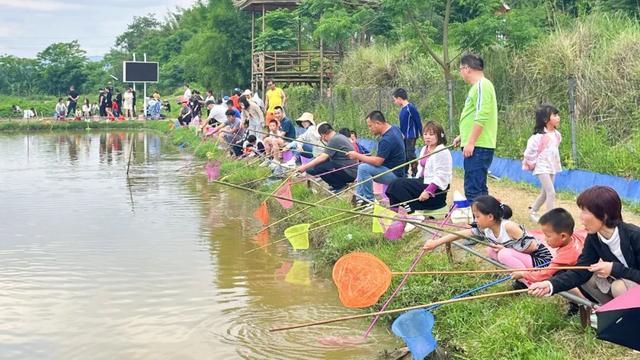 黄了！黄了！南雄银杏逐渐换上“金装”，码好这条线路追秋去