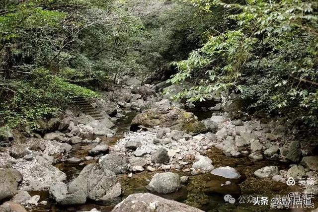 远上乌岩岭上斜,白云生处白云尖!温州这处秋日美景值得一去!