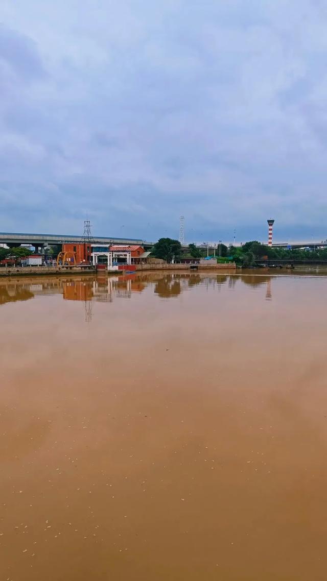 一场大雨后，秦皇岛汤河变成这样...