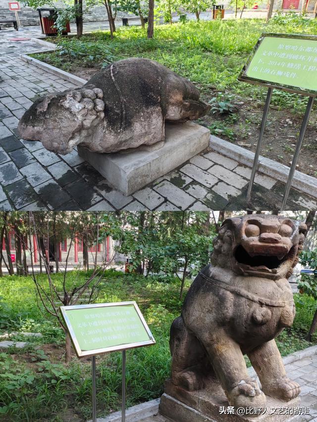 曾经的国际大都市，口蘑因它命名，还有你不一定知道的逛吃三件套