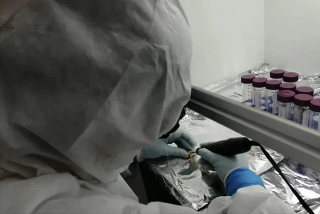科学家分析远古人类牙齿，揭开最早农民的生存、迁徙与社交方式