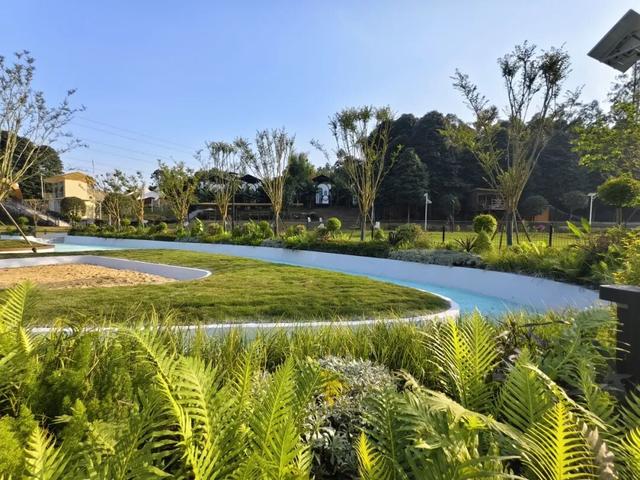 汪汪队！集合！