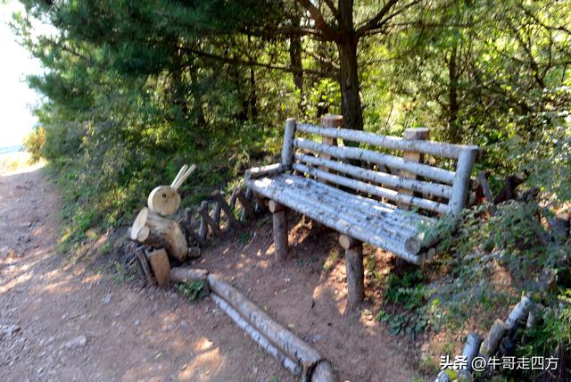 延庆应梦寺（五）：山巅极目收千嶂，林海听风涤尘心