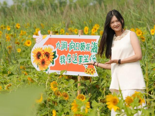 太原市万柏林区：百亩向日葵花海爆红