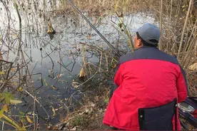 江苏一小藕塘，上百人垂钓就像“十面埋伏”！抽水效果不是更好？图片