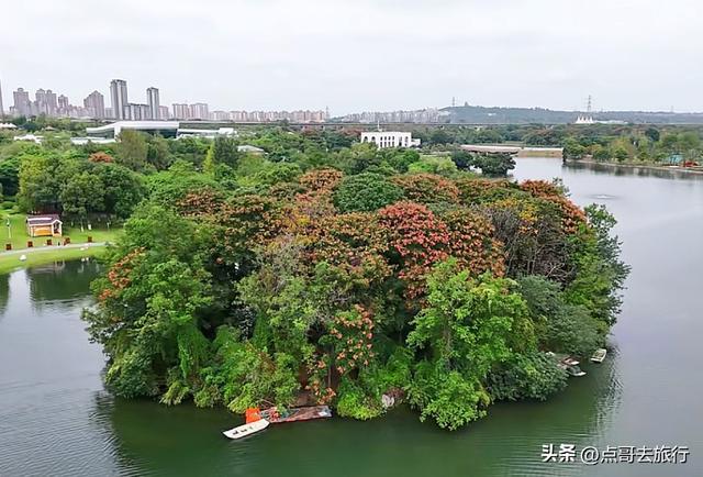 成都主城区最大人工湖，秋天超级惊艳，不要门票，地铁公交直达！