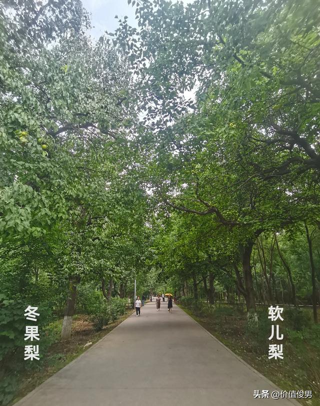 兰州植物园秋日赏景