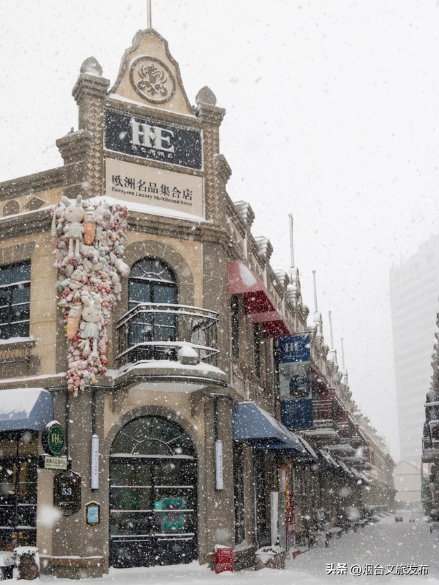 【乐游烟台】这辈子一定要来看看下雪的烟台雪！