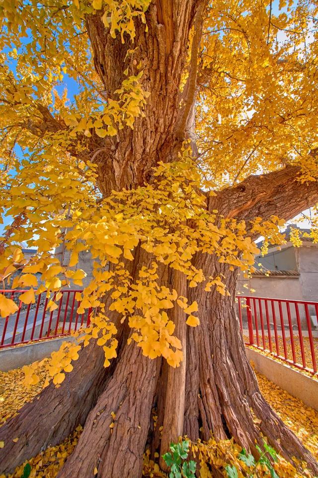 太全面了！8条游玩线路+京郊汤泉！带您玩转北京这里！（1）