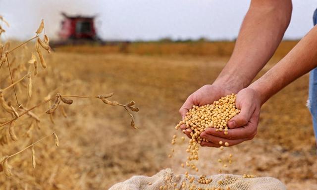 200亿就被美国收买了？阿根廷忘恩负义，米莱终止中阿合作计划