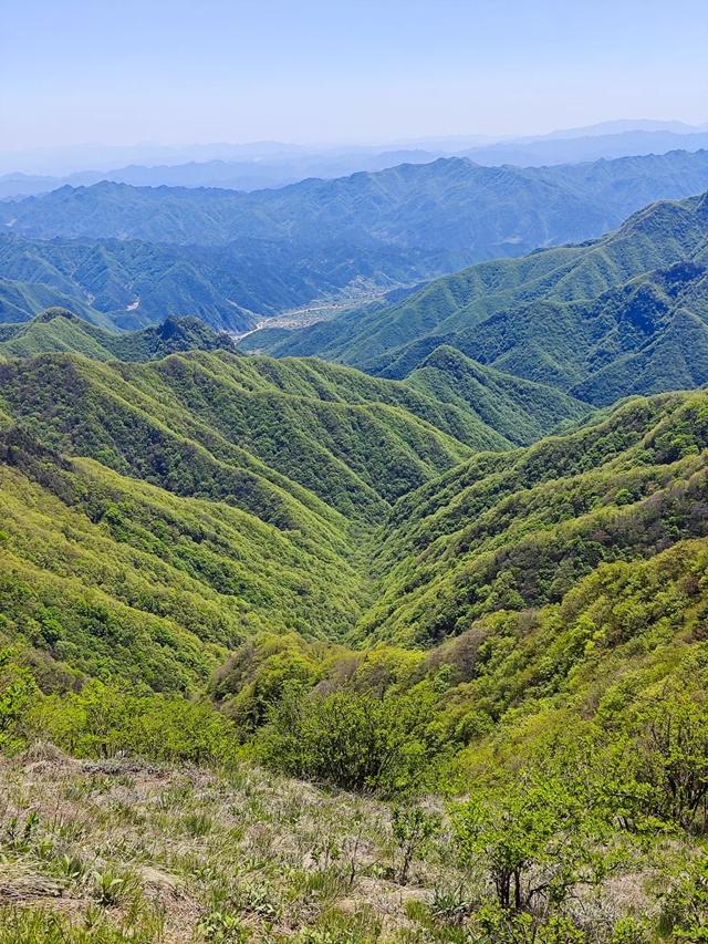 河南又一山走红，海拔2413米，被誉为 “中原之巅”景色不输云台山