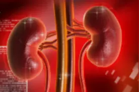 苏州中医肾病科科普：尿里总是有泡沫出现，就是肾出问题了吗图片