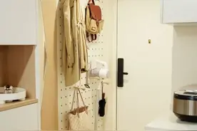 40㎡一字户型，一人一猫图片