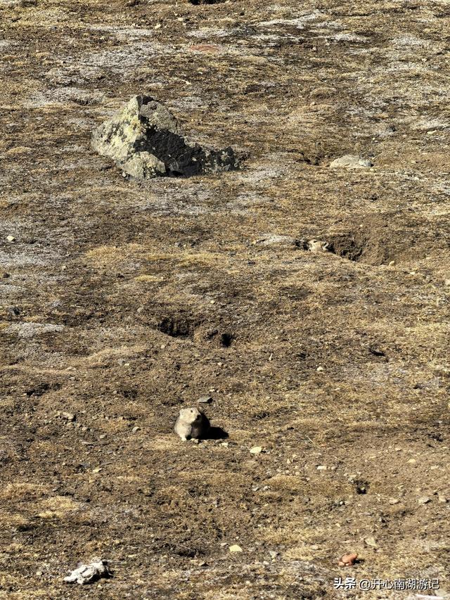 喀什经317到成都，比如县白嘎乡-边坝县，观萨普神山