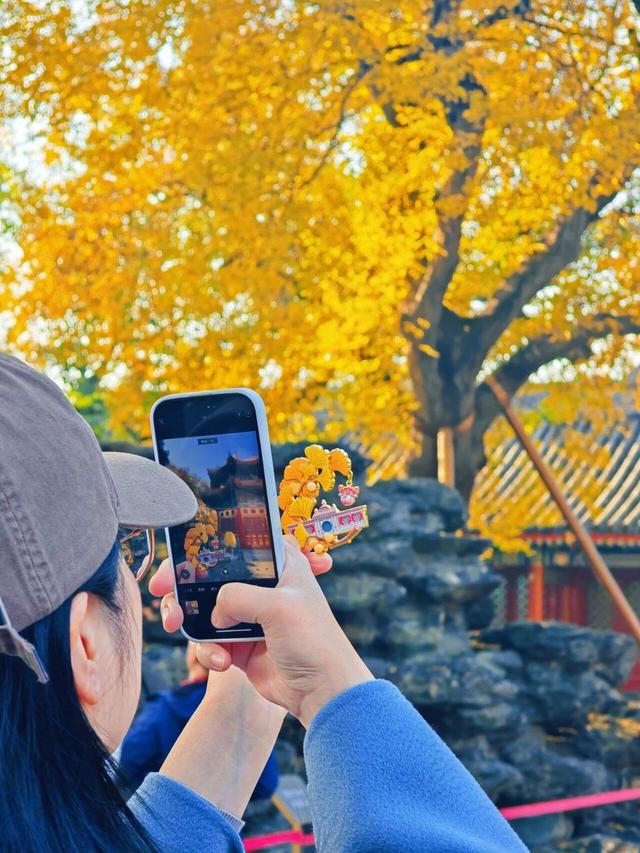 出片率100%！是时候来“京西小故宫”，邂逅一抹银杏黄