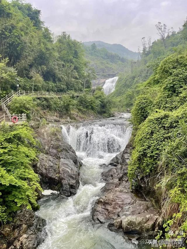 4A级免费景区徒步+避世绝美古村探幽，温州一日游的绝佳选择！