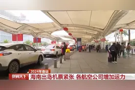 三亚回程机票破万！这几个省钱办法请收藏图片