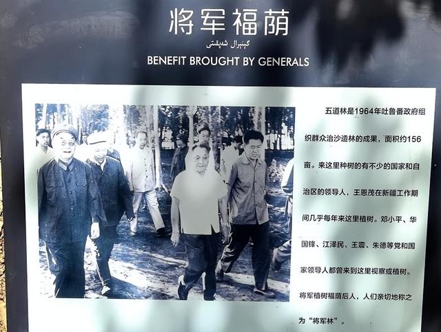 游新疆吐鲁番的坎儿井和葡萄沟