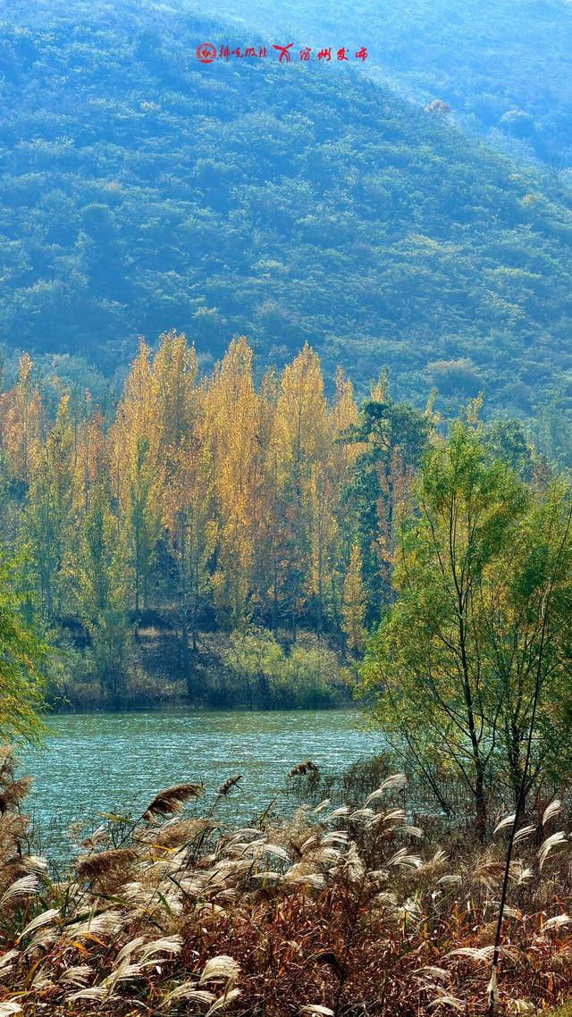 宿州私藏了个“小九寨沟”！就在萧县官桥镇，美到犯规！