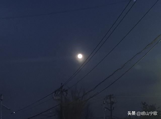 崂山夜路，月亮追着我的车跑