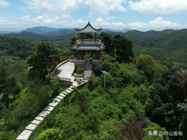 骑遇坪山① | 宝藏“高颜值”骑行线,拍出森系大片刷爆朋友圈